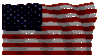 U.S. Flag